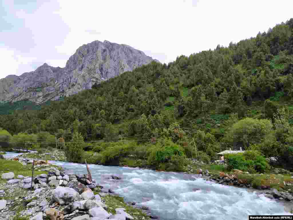 Эс алуу жайынын жалпы аянты 11872 гектар аянтты түзүп 5 айыл өкмөттүн жайыт жерлери менен чектешкен. Алар Кыргыз-Ата, Зулпуев, Мирмахмудов, Гулистан жана Кара-Таш айыл өкмөттөрү.