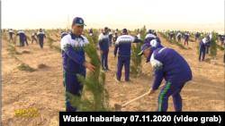 Türkmenistanyň "Altyn Asyr" telekanalyndan alnan surat. Arhiw suraty