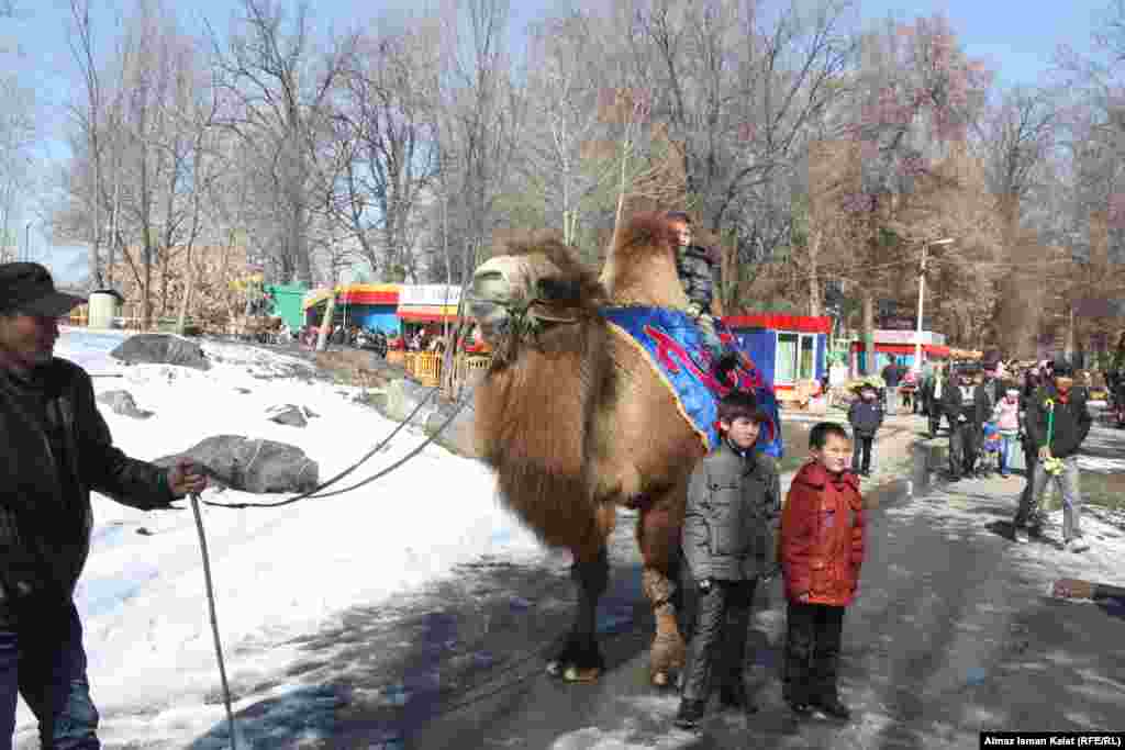 Покататься и сфотографироваться!