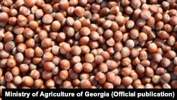 ქართული თხილი