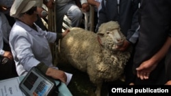 Лущихин заводунда өткөн иш-чарадан тартылган сүрөт.