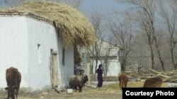 Туркменистан (архивное фото)  