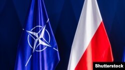 საილუსტრაციო ფოტო. ნატოს და პოლონეთის დროშები