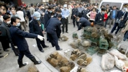 Ринок в південному китайському місті Гуанчжоу був очищений від цивет у 2004 році