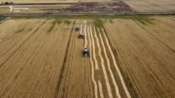 Kosova përsëri e varur nga importi i grurit