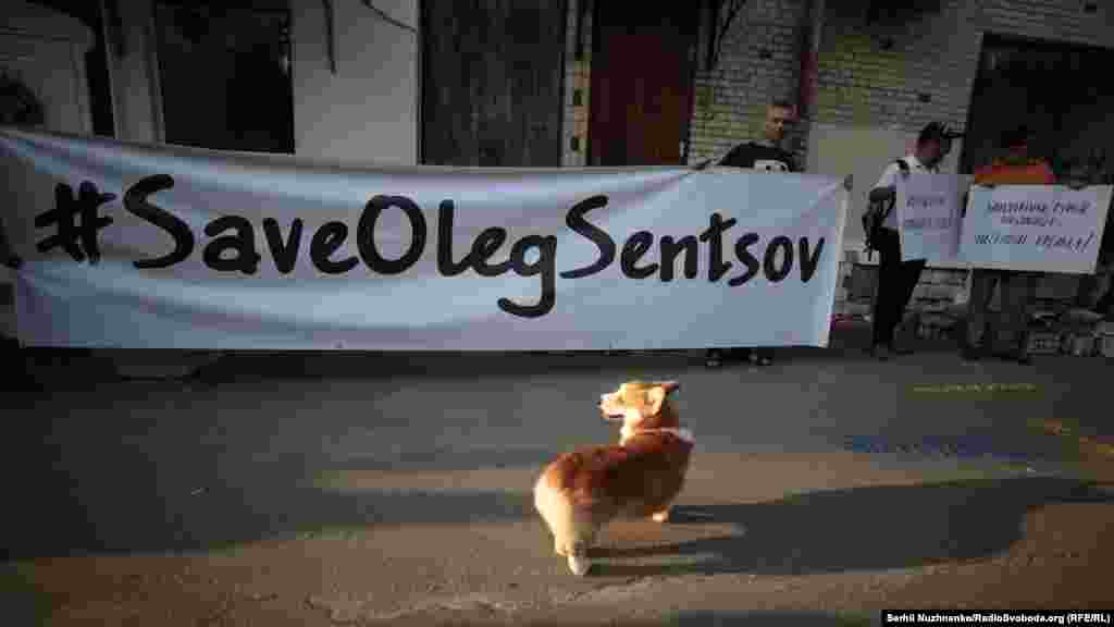 80-й день. Активісти прийшли до офісу спецпредставника України з питань гуманітарного характеру в Тристоронньої контактній групі Віктора Медведчука з вимогою перейти до активних дій в питанні звільнення українських політв'язнів