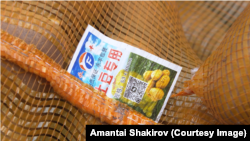 "Сары-Өзөн" базарында сатылып жаткан импорттук картөшкөлөр