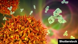 Коронавирус.