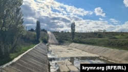 Обмелевшая река Биюк-Карасу ниже плотины Белогорского водохранилища. 20 октября 2025 года.