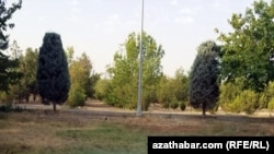 Seýilgähiň guran bölekleriniň biri we suwaryş ulgamynyň ýokarky bölegine ýerleşdirilen plastmassa boklaşka.