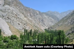 Пум айылы бүгүн