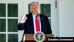 Президент США Дональд Трамп 