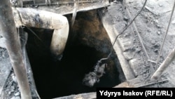 Иллюстрациялык сүрөт.