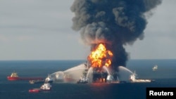 Внаслідок аварії, що сталася 20 квітня 2010 року на нафтовидобувній платформі Deepwater Horizon, у Мексиканську затоку витекло більше 4 мільйонів барелів нафти