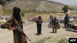 Owganystandaky "Talyban" toparynyň söweşijileri