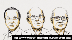 Ilustrație oficială cu câștigătorii Premiului Nobel pentru Fizică, ediția 2025: Susumu Kitagawa, Richard Robson and Omar M. Yaghi.