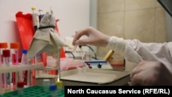 Иллюстративное фото 