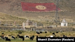 Иллюстрациялык сүрөт.