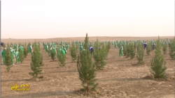 Lebapda döwlet telewideniýesine reportažlary taýýarlamak üçin köpçülikleýin çäre geçirildi