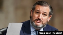 تد کروز، سناتور جمهوری‌خواه