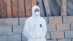 Ноокаттагы дарыгерлер.