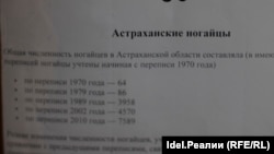 Әстерхан нугайлары