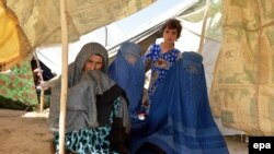 مهاجرین افغان