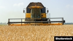 უკრაინა, ხორბლის მოსავლის აღება ხარკოვის რეგიონში, 2016 წელი