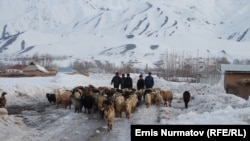 Чоң-Алай району