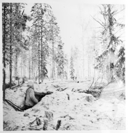 Финн просматривает лес.