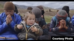 Кадр из фильма Светланы Стасенко "Здесь выживут только сарлыки"