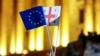 ევროკავშირისა და საქართველოს დროშები