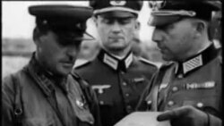 Нацисташца гергарло