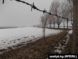 Кыргызско-узбекская граница, январь 2012