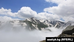 Иллюстративное фото.