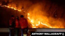 Түштүк Кореяда өрт 300дөй чарчы чакырым аймакты каптады.