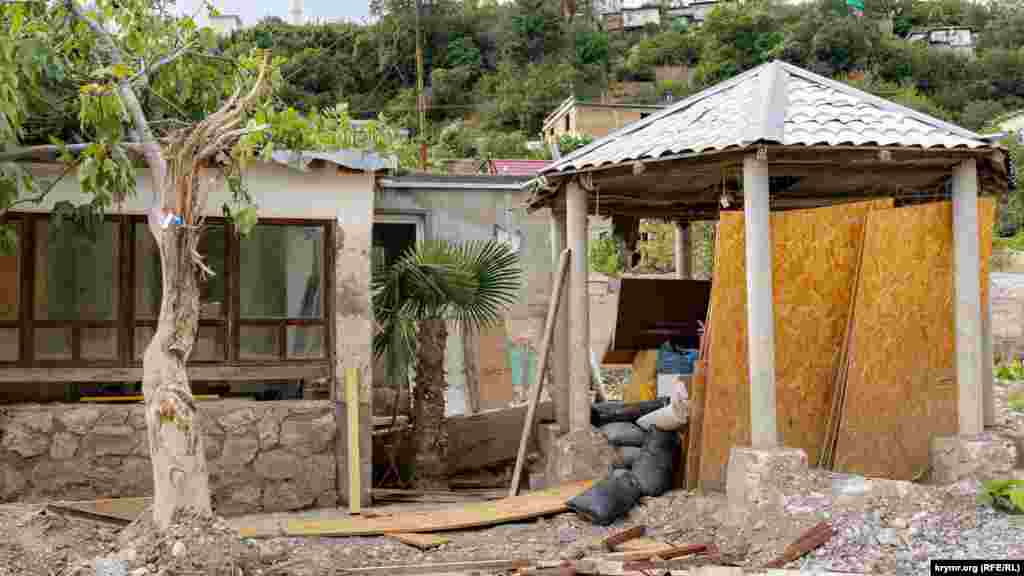 Фиговое дерево тоже пострадало от селевого потока