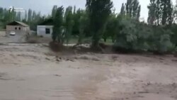 Сел бир жумада он өмүрдү жалмады