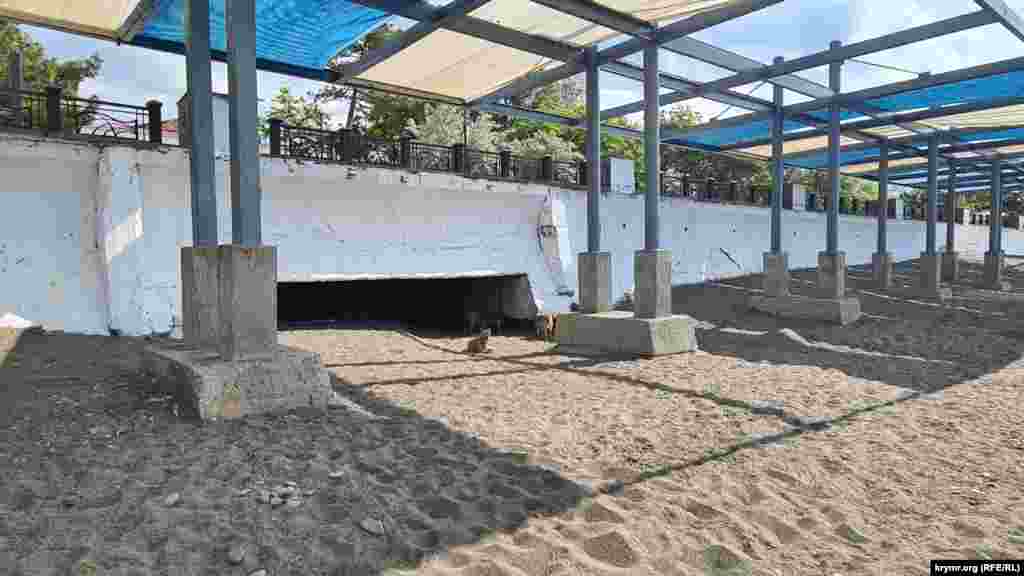 Стая безнадзорных псов нашла себе убежище прямо на городском пляже, Судак, Крым, начало июня 2025 г.