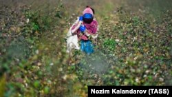 Illýustrasiýa suraty