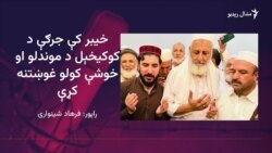 د خیبر جرګه: ملک نصیر کوکیخېل د پښتنو د حقونو غوښتلو سزا ویني