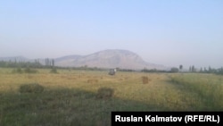 Сөгөт айылындагы талашка түшкөн жер