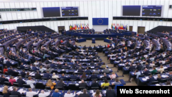 În iulie 2025, Parlamentul European a adoptat o rezoluție de condamnare a regreselor Georgiei pe calea reformelor, chemând UE și statele membre să impună sancțiuni, inclusiv de călătorie, liderilor de la Tbilisi.