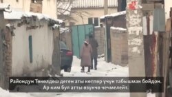 Төкөлдөштүктөр кандай жатышат?