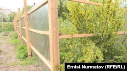 Забор, разделивший питомник на две части.