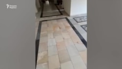 "Наманганда ковид бемоларини 1 суткадан бери шифокор кўрикдан ўтказмади"