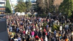 Новороссийск. Акция в поддержку Навального 23.01.2020