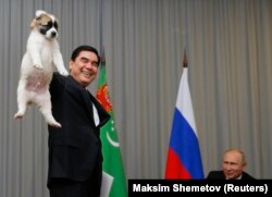 Turkmen President Gurbanguly Berdymukhammedov (left) presents a Turkmen shepherd dog, an Alabai, to his surprised Russian counterpart, Vladimir Putin, during a meeting in Sochi on October 11, 2017.