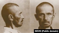 ევგენი პოლივანოვი