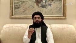 سهیل شاهین، سخنگوی دفتر سیاسی طالبان در قطر